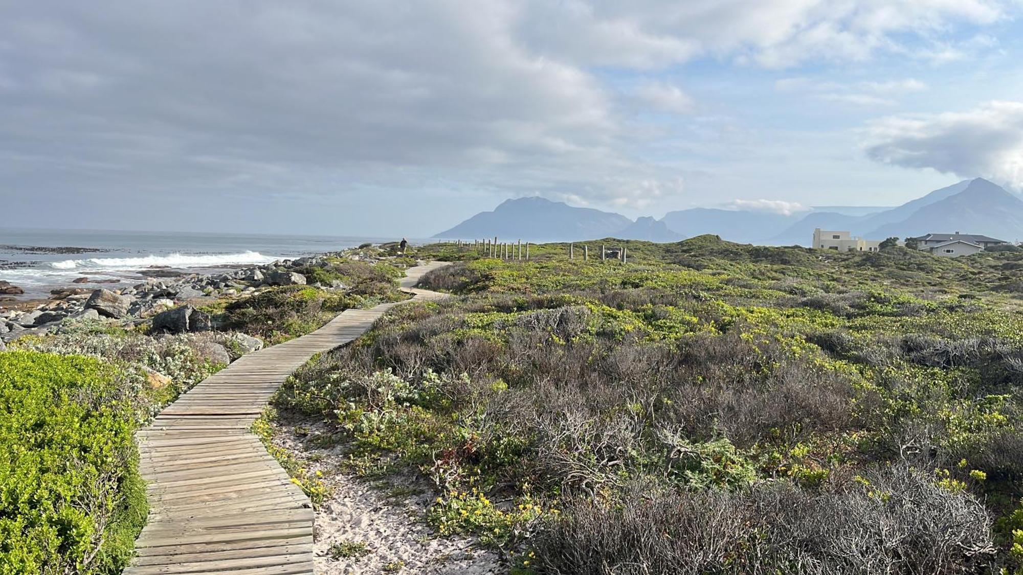 Storyhouse In Kommetjie Exterior foto